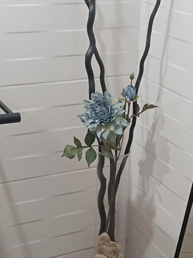 Apartament Anfiteatre Roma Tarragona Bagian luar foto